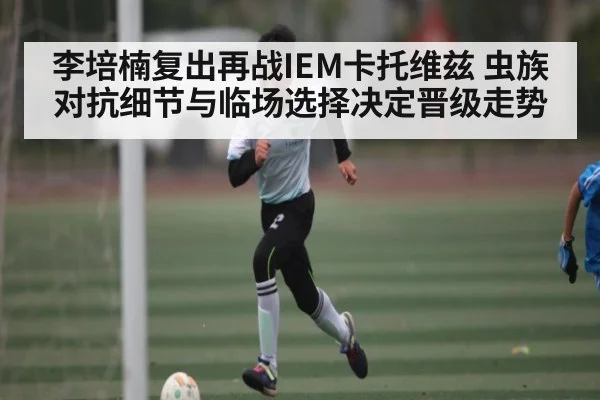 李培楠复出再战IEM卡托维兹 虫族对抗细节与临场选择决定晋级走势 - kaiyun